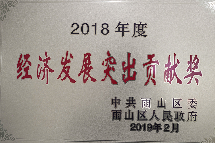 2018年度荣获经济发展突出贡献奖